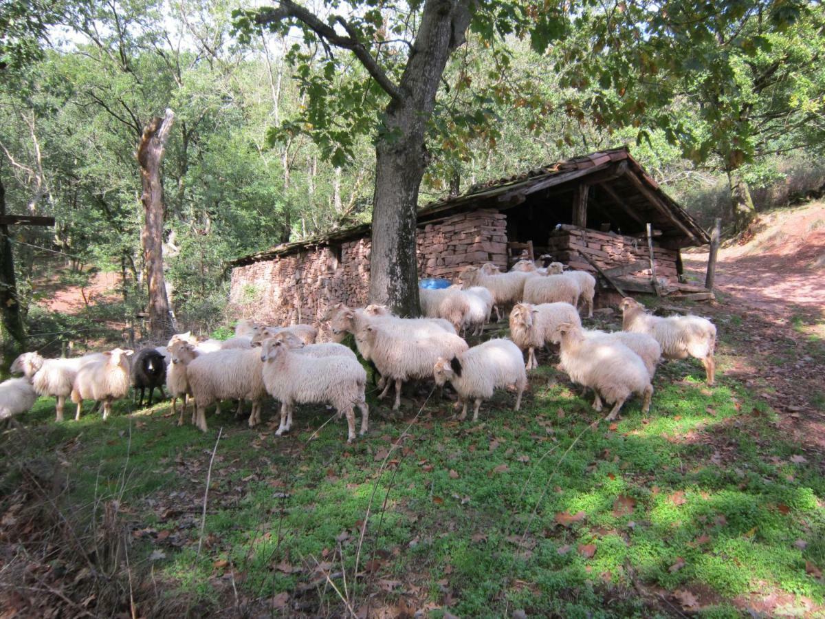 Casa Rural Lakoizketa Legasa Esterno foto